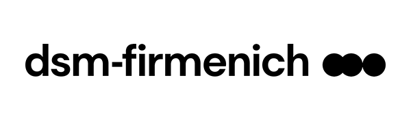 DSM logo